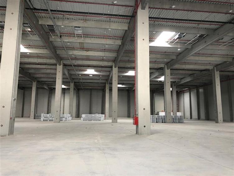 Spațiu industrial, de 5,750 mp, în Ciorogârla