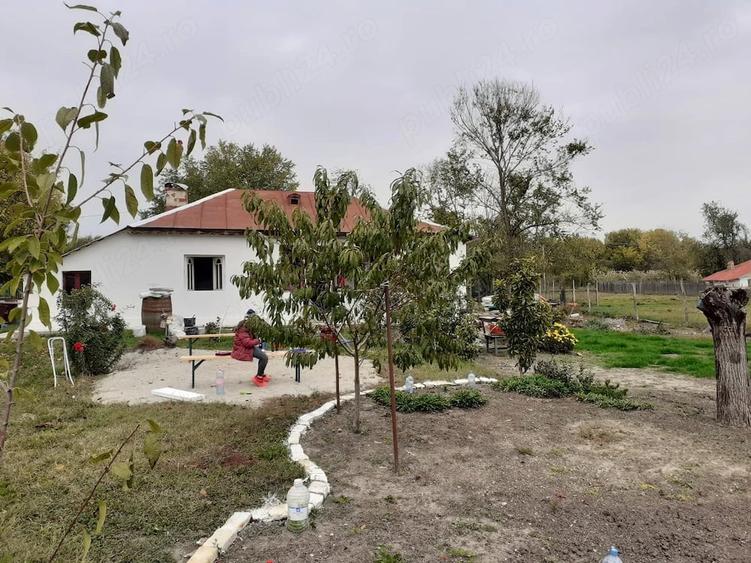 Casă cu Teren 1592 Mp în Schitu