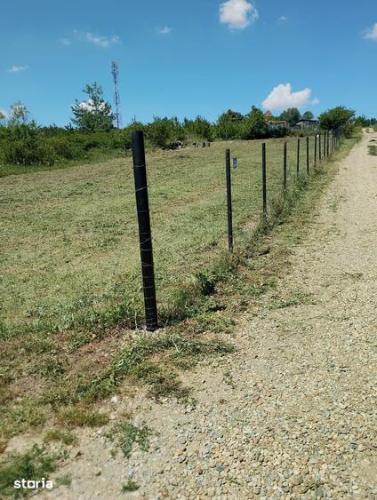 Teren de 981 mp, în Paleu