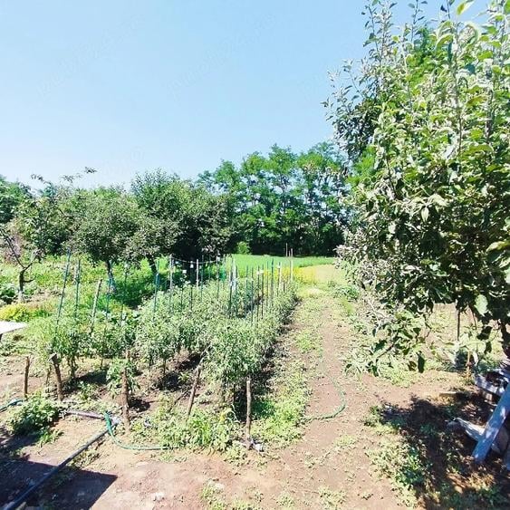Casă cu 3 camere cu Teren 2200 Mp în Central