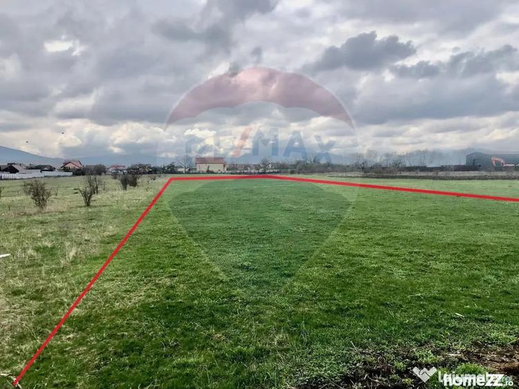 Teren în Cărpiniș