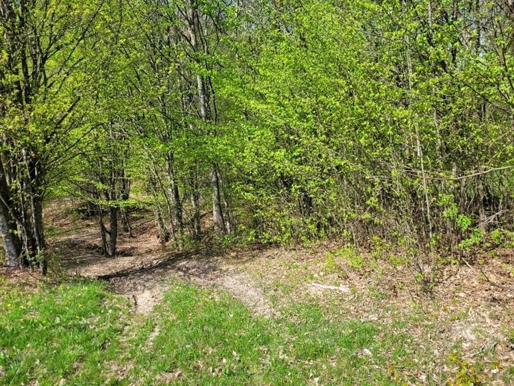Teren de 4000 mp, în Satu Mare