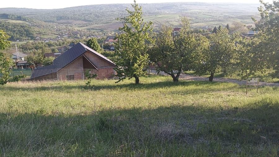 Teren Construcții intravilan de 2250 mp, în Chicerea