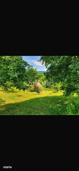 Teren de vanzare, zona superba