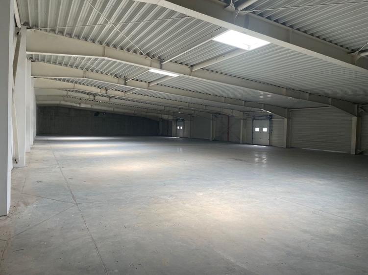 Spațiu industrial, de 4,600 mp, în Sânandrei