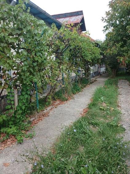 Casă individuală cu 5 camere cu Teren 2900 Mp în Cârstani