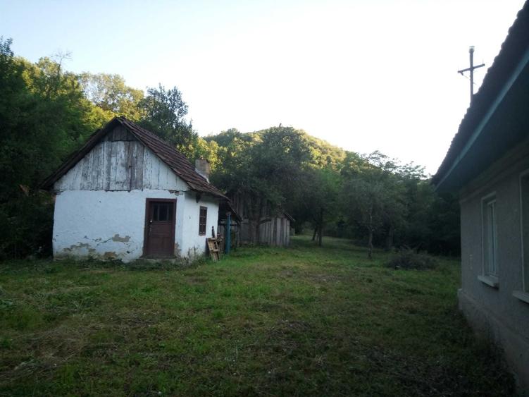 Casă cu 3 camere în Hălmagiu