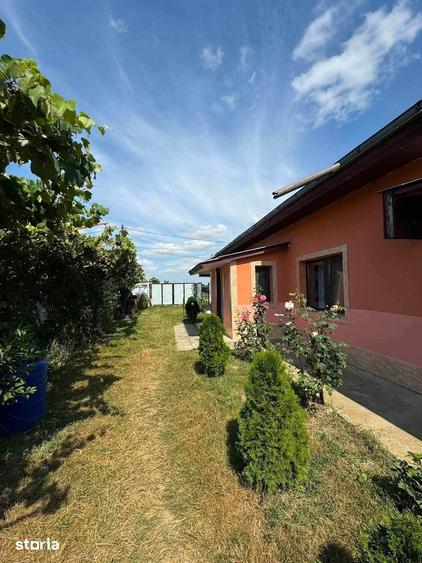 Casă cu 3 camere cu Teren 3250 Mp în Central