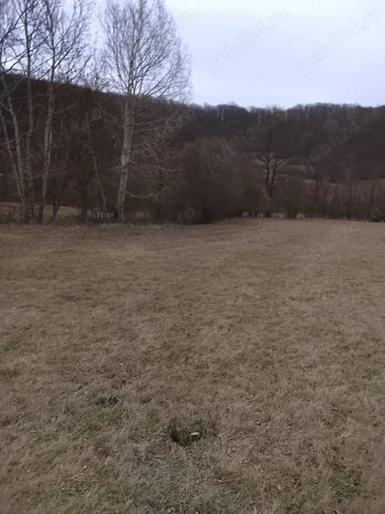 Casă cu 2 camere cu Teren 5 Mp în Central