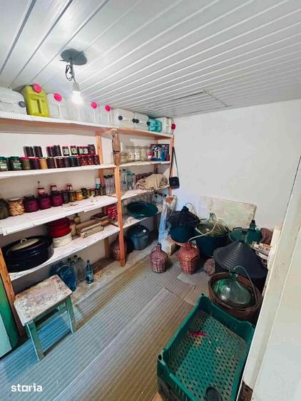 Casă cu Teren 1400 Mp în Sânmartin
