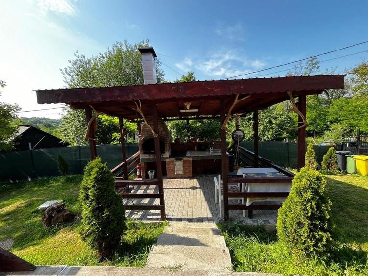 Casă cu 4 camere cu Teren 3000 Mp în Valea Danului