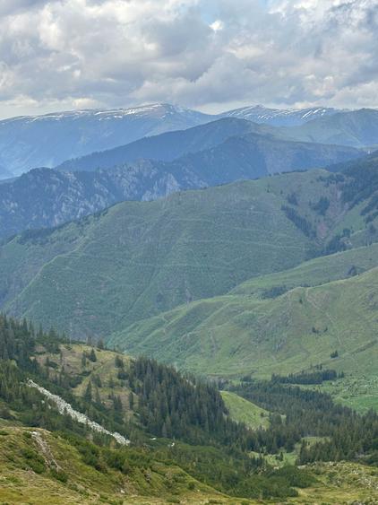 Teren de 1100000 mp, în Nucșoara