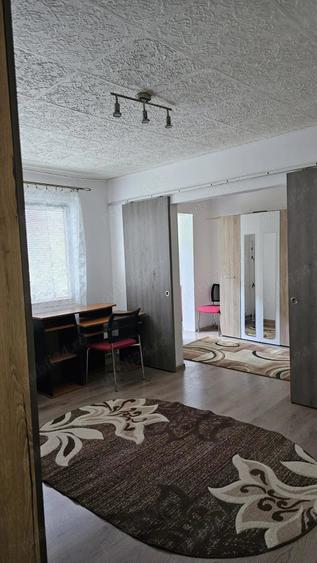 Apartament cu 2 camere nedecomandat în Șagului