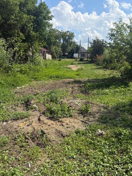 Teren de 2000 mp, în Iepurești