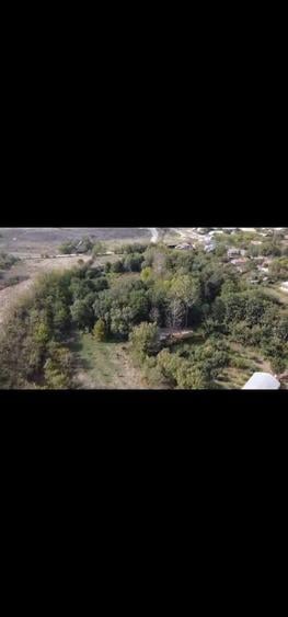 Proprietate unica 1,5 ha intravilan cu luciu de apa cu peste, iaz, livada si casa - 4