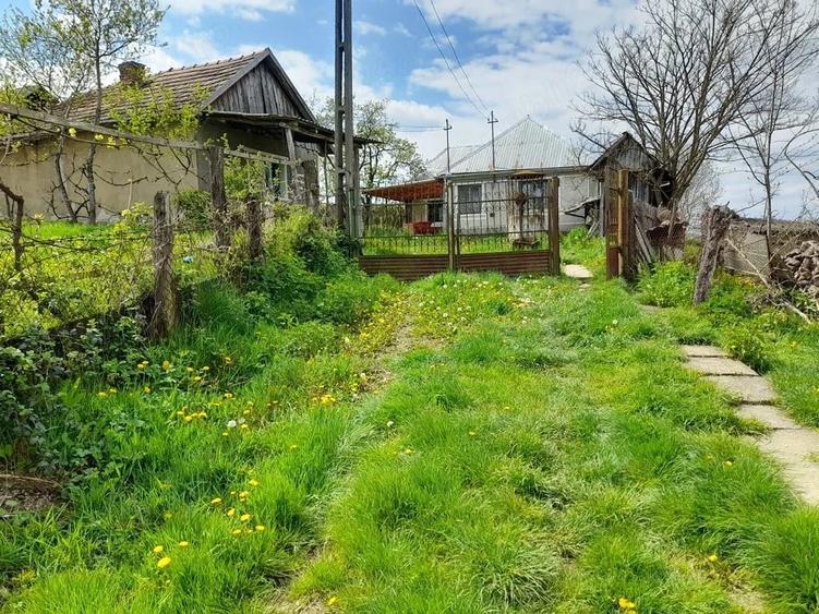 Casă cu Teren 3096 Mp în Boianu Mare