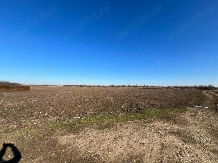 Teren de 40000 mp, în Letca Nouă