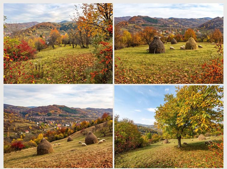 Teren Construcții intravilan de 2623 mp, în Capul Câmpului