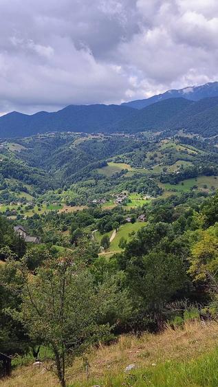 Casă cu Teren 5400 Mp în Măgura