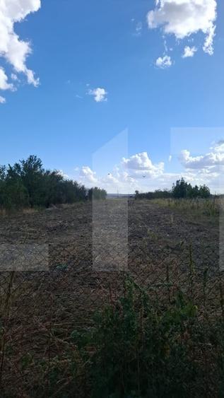 Casă individuală cu 5 camere cu Canalizare în Coteana