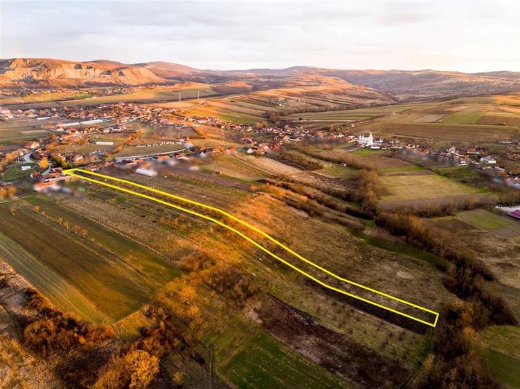Teren Construcții intravilan de 5342 mp, în Hotar