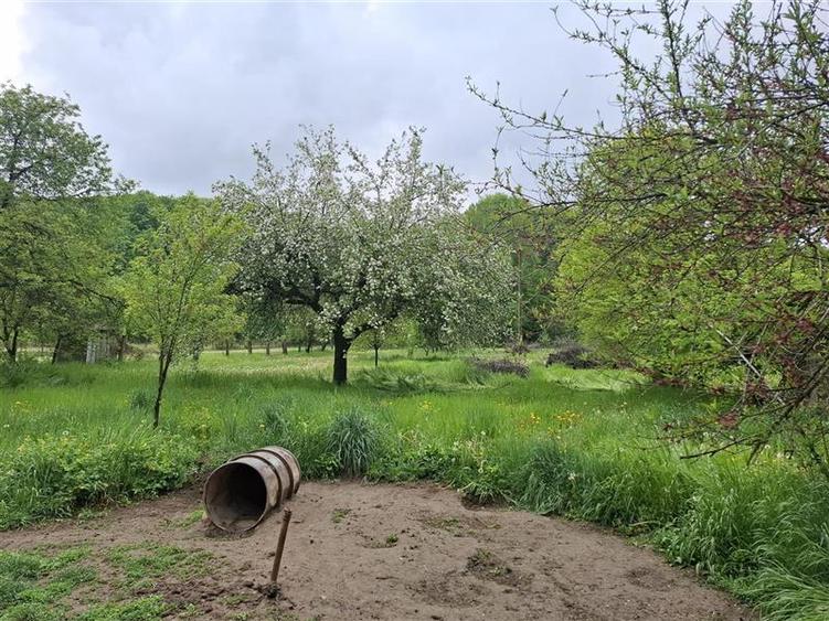 Casă individuală cu 4 camere cu Teren 2360 Mp în Gogoiu