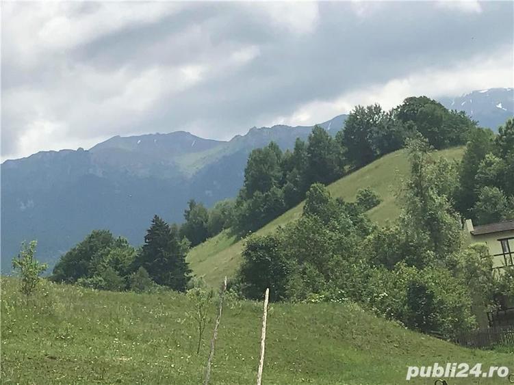 Teren de 10000 mp, în Bran