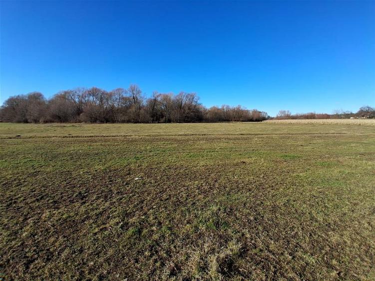 Teren intravilan de 14780 mp, în Grumăzești