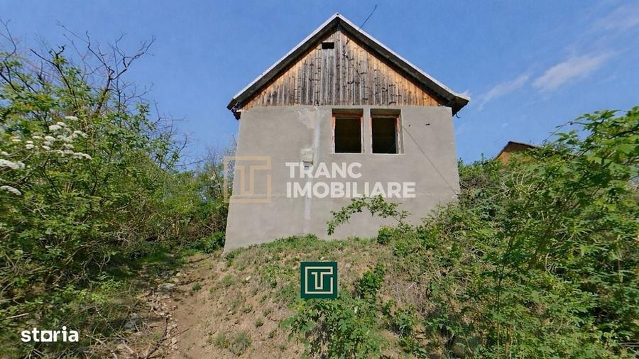 Casă cu 2 camere cu Teren 874 Mp în Covăsinț