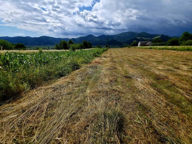 Teren Construcții intravilan de 600 mp, în Viișoara