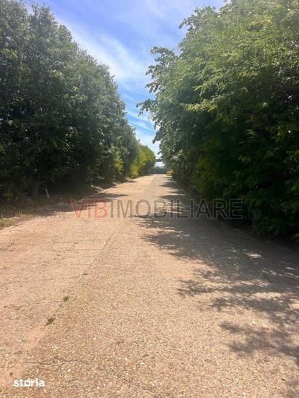 Teren de 200000 mp, în Agigea