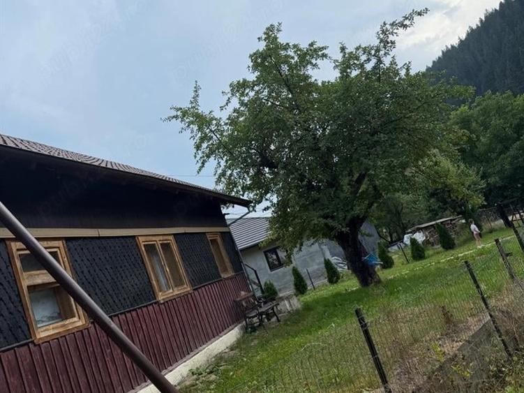 Casă individuală cu 4 camere cu Teren 933 Mp în Frumosu