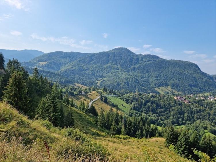 Teren extravilan de 500 mp, în Brădetu