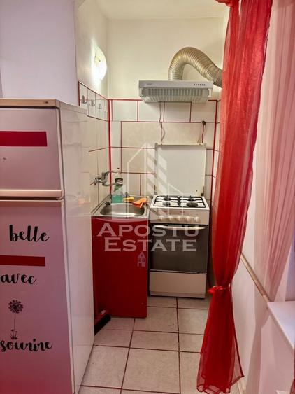 Apartament cu 3 camere , de inchiriat , zona Aradului , Timisoara - 13