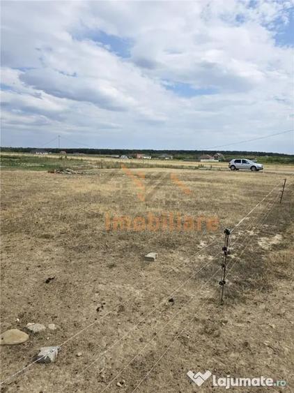 TEREN INTRAVILAN 568 MP | PROIECT CASA | CIHEI - SANMARTIN | - 2