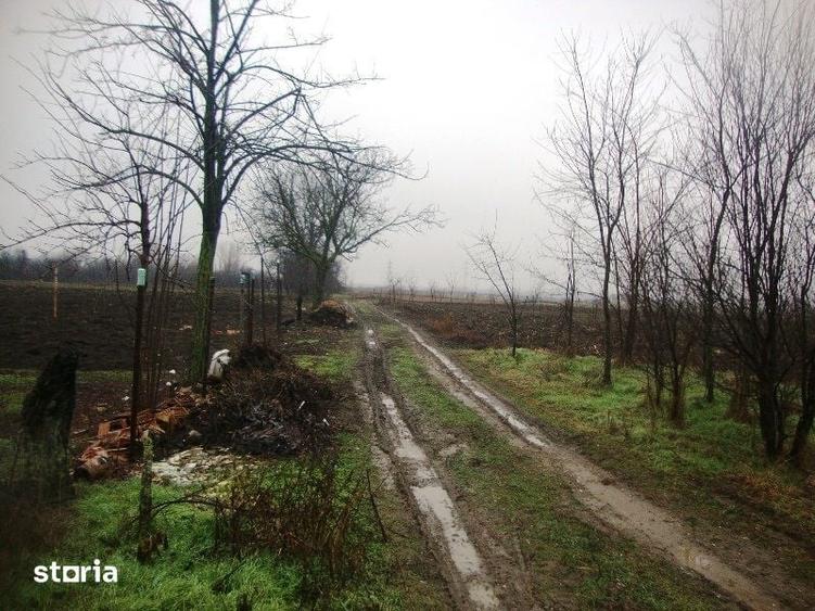 Teren de 2306 mp, în Cocorăștii Mislii