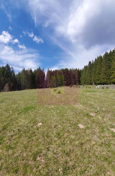 Teren intravilan 2500 mp in Valea Doftanei - 5