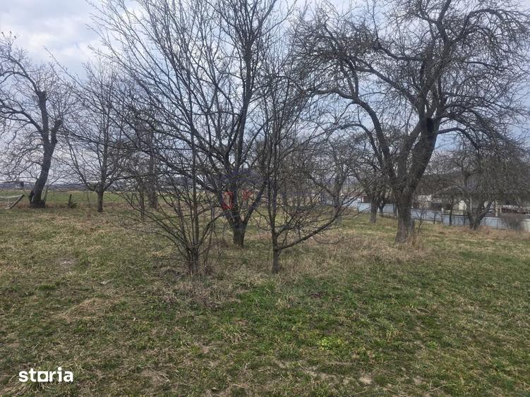 Teren de 4000 mp, în Mitocu Dragomirnei