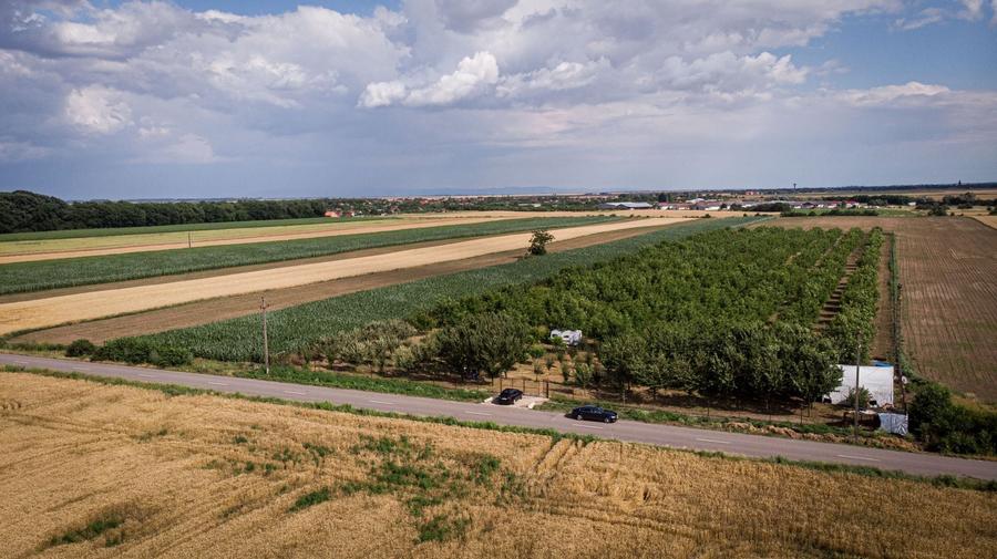 Teren agricol extravilan de 25000 mp, în Macea