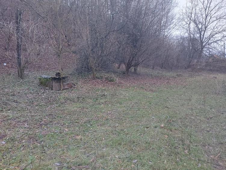 Teren de 8800 mp, în Nojag