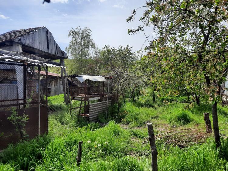 Casă cu 4 camere în Exterior Vest