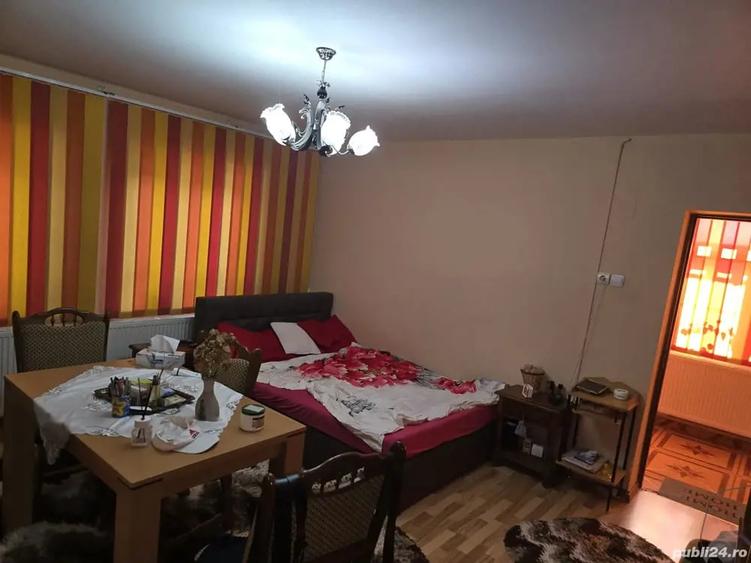 Casă cu 6 camere cu Teren 240 Mp în Jimbolia