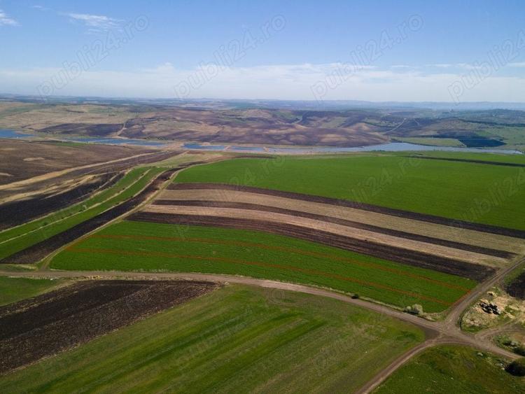 Teren de 8000 mp, în Copăceni
