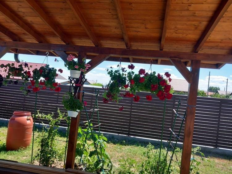 Casă cu 3 camere în Tulucești