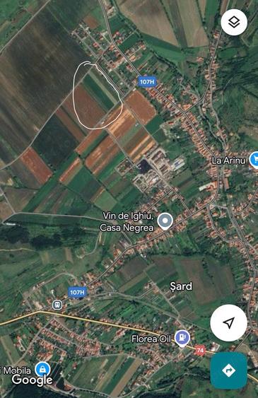 Teren de 1400 mp, în Șard