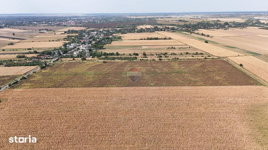 Teren de 8648 mp, în Ulmi