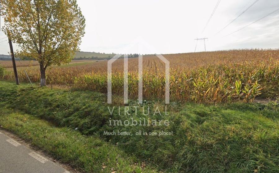 Teren agricol intravilan de 6695 mp, în Șura Mare