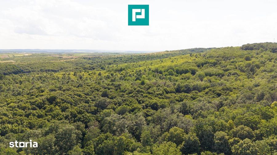 Teren de 22900 mp, în Central
