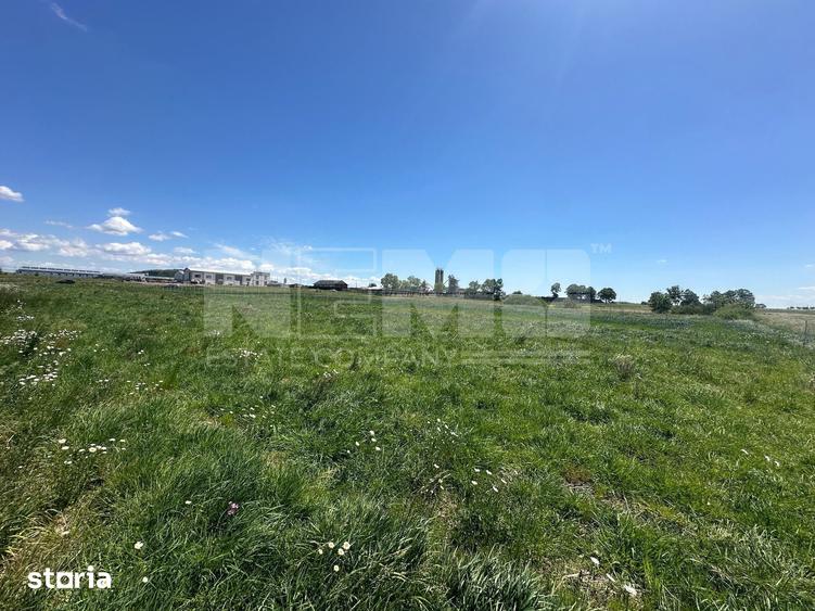 Teren de 2600 mp, în Horodnic