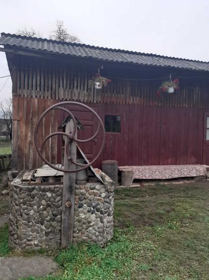 Casă cu 4 camere în Bocicoiu Mare